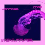 DVD/Blu-ray-Review: Mad Vantage - Minutiae.